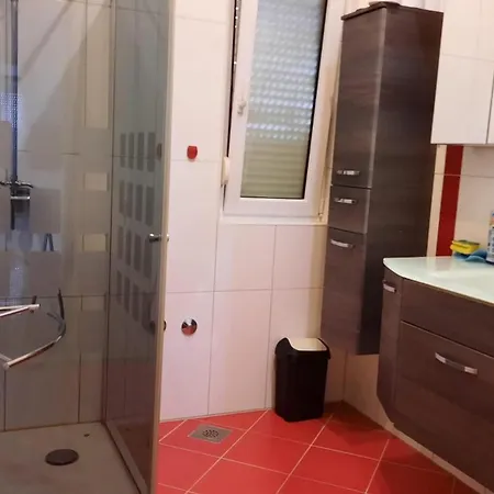 Vujica * טרוגיר